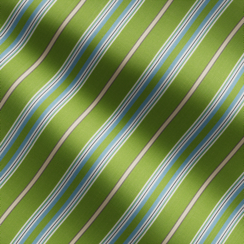 Presido-Kiwi